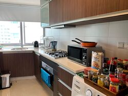 Novelis (D11), Apartment #319317171